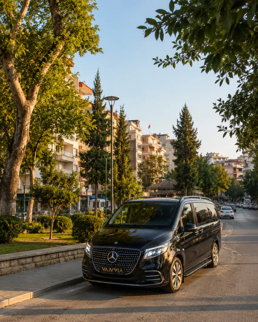 Mercedes-Benz Vito VIP passing a neighbourhood park