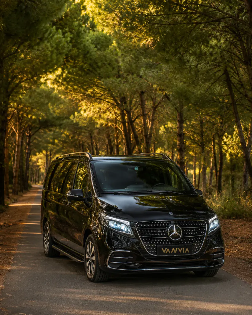 Sarıgerme çevresindeki çam ormanı yolunda altın ışıkta ilerleyen siyah Vanvia VIP transfer aracının ön açılı görünümü, iki yanında yüksek çam ağaçları